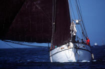 Proue de Lola (cotre). © Philip Plisson / Plisson La Trinité / AA00619 - Photo Galleries - Boat