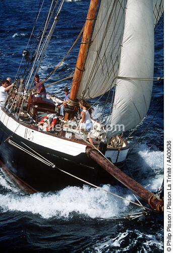Proue de la Marie Fernand. - © Philip Plisson / Plisson La Trinité / AA00636 - Photo Galleries - Sailing Pilot boat
