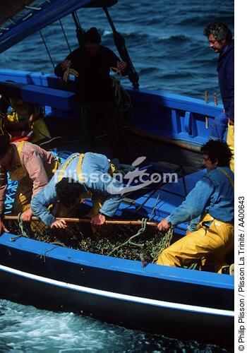 Pêcheur à bord d'un sloup coquiller. - © Philip Plisson / Plisson La Trinité / AA00643 - Nos reportages photos - Métier