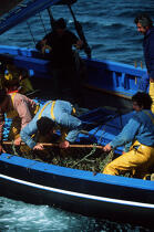 Pêcheur à bord d'un sloup coquiller. © Philip Plisson / Plisson La Trinité / AA00643 - Nos reportages photos - Monocoque