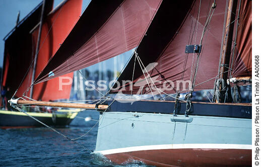 Beaupré d'un voilier. - © Philip Plisson / Plisson La Trinité / AA00668 - Photo Galleries - Bowsprit