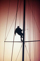 Equipier dans la mâture d'un voilier. © Philip Plisson / Plisson La Trinité / AA00672 - Nos reportages photos - Voilier