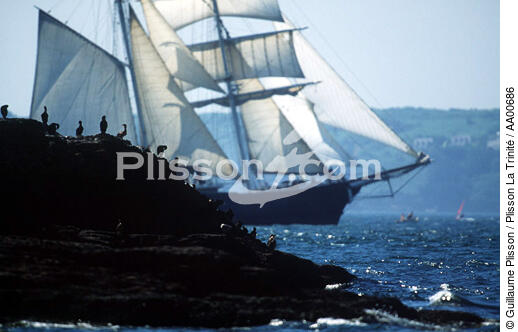 Cormorans regardant le spectacle des grands voiliers pendant Brest 96. - © Guillaume Plisson / Plisson La Trinité / AA00686 - Nos reportages photos - Horizontal