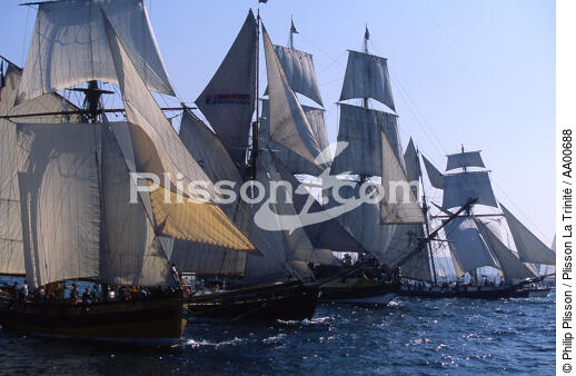 Flotte de grands voiliers pour Brest 96. - © Philip Plisson / Plisson La Trinité / AA00688 - Nos reportages photos - Horizontal