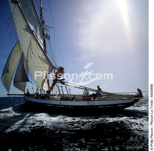 La Marie Fernand sous le soleil. - © Philip Plisson / Plisson La Trinité / AA00696 - Photo Galleries - Sailing Pilot boat