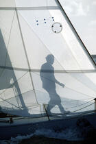 Ombre d'un équipier sur la voile. © Philip Plisson / Plisson La Trinité / AA00777 - Nos reportages photos - Monocoque