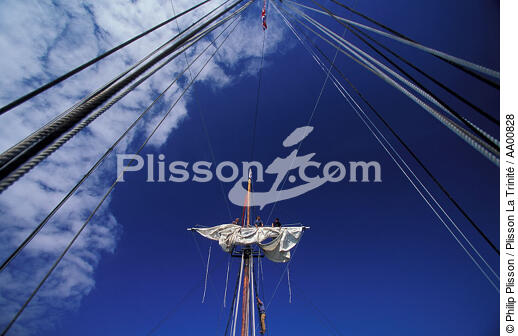 Dans la mature du HMS Rose. - © Philip Plisson / Plisson La Trinité / AA00828 - Photo Galleries - Three-masted frigate