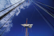 Dans la mature du HMS Rose. © Philip Plisson / Plisson La Trinité / AA00828 - Photo Galleries - Tall ships