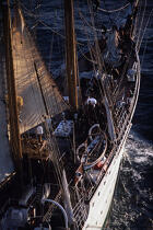 Equipage sur le pont de l'Esmeralda. © Philip Plisson / Plisson La Trinité / AA00837 - Nos reportages photos - Vertical