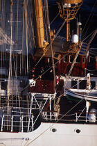 Equipage de l'Esmeralda sur le pont. © Philip Plisson / Plisson La Trinité / AA00838 - Photo Galleries - Four-masted schooner