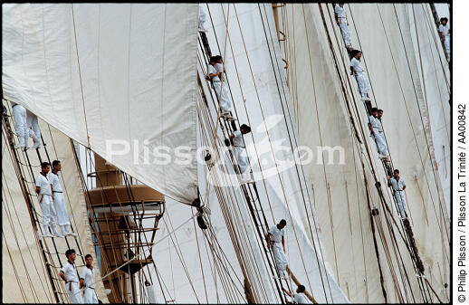 Equipage de l'Esmaralda dans la mâture. - © Philip Plisson / Plisson La Trinité / AA00842 - Nos reportages photos - Elément d'un bateau