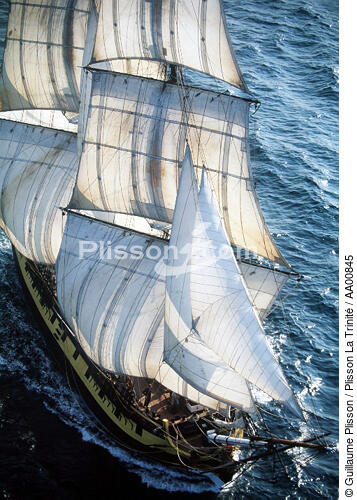Plongée sur le HMS Rose. - © Guillaume Plisson / Plisson La Trinité / AA00845 - Nos reportages photos - HMS Rose