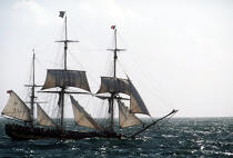 HMS Rose en contre-jour. © Guillaume Plisson / Plisson La Trinité / AA00846 - Nos reportages photos - Les Grands voiliers