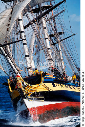 Etrave du HMS Rose. - © Philip Plisson / Plisson La Trinité / AA00849 - Nos reportages photos - Trois-mâts barque frégate
