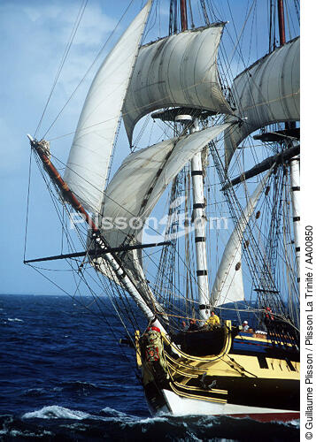 Beaupré du HMS Rose. - © Guillaume Plisson / Plisson La Trinité / AA00850 - Photo Galleries - HMS Rose