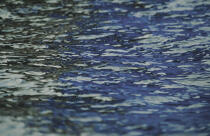 Reflet bleu. © Philip Plisson / Plisson La Trinité / AA00947 - Nos reportages photos - Environnement