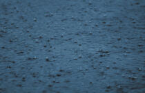 La pluie sur la mer. © Philip Plisson / Plisson La Trinité / AA00952 - Nos reportages photos - Environnement