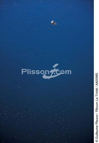 Vue aérienne d'un ponton ostréicole en baie de Quiberon. - © Guillaume Plisson / Plisson La Trinité / AA00985 - Nos reportages photos - Activité maritime