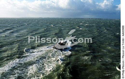 Ponton ostréicole sous le beau temps en Baie de Quiberon. - © Philip Plisson / Plisson La Trinité / AA00988 - Nos reportages photos - Activité maritime