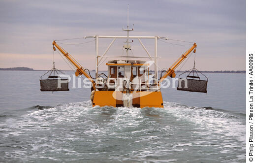 ponton ostréicole relevant des huitres. - © Philip Plisson / Plisson La Trinité / AA00995 - Nos reportages photos - Activité maritime