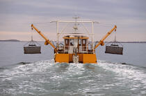 ponton ostréicole relevant des huitres. © Philip Plisson / Plisson La Trinité / AA00995 - Nos reportages photos - Activité maritime