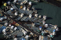 Flotte de pontons ostréicoles... © Philip Plisson / Plisson La Trinité / AA00996 - Nos reportages photos - L'ostréiculture