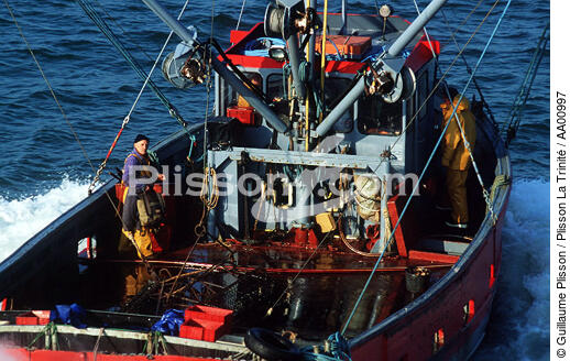 Ostréiculteur sur un ponton ostréicole. - © Guillaume Plisson / Plisson La Trinité / AA00997 - Nos reportages photos - Pêche