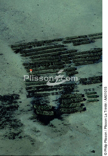 Parcs ostréicoles, vue aérienne. - © Philip Plisson / Plisson La Trinité / AA01015 - Photo Galleries - Maritime activity