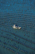 Parcs à moules à l'embouchure de la Vilaine © Philip Plisson / Plisson La Trinité / AA01016 - Photo Galleries - Lighter used by mussel breeders
