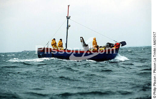 Pêche côtière. - © Philip Plisson / Plisson La Trinité / AA01017 - Nos reportages photos - Marin-pêcheur