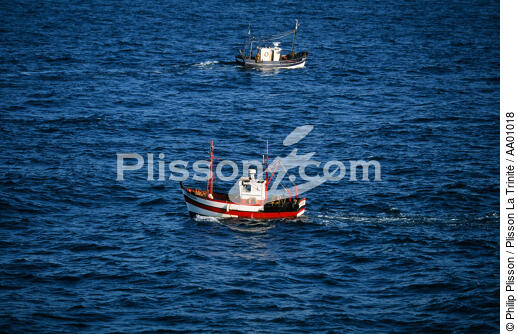 Bateaux de pêche. - © Philip Plisson / Plisson La Trinité / AA01018 - Photo Galleries - Fishing