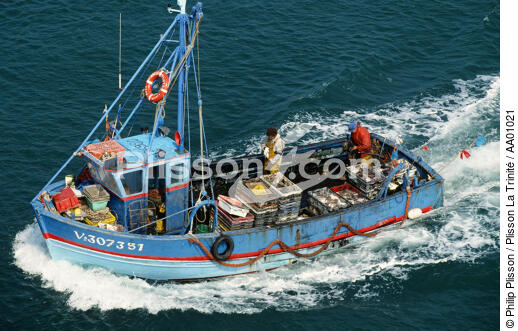Pêche à la morgate. - © Philip Plisson / Plisson La Trinité / AA01021 - Nos reportages photos - Métier