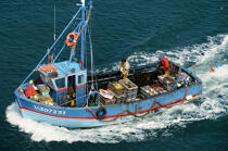 Pêche à la morgate. © Philip Plisson / Plisson La Trinité / AA01021 - Nos reportages photos - Materiel de pêche