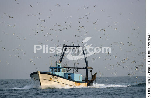 Petite pêche. - © Philip Plisson / Plisson La Trinité / AA01032 - Photo Galleries - Fishing