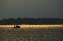Contre jour sur petite pêche. © Philip Plisson / Plisson La Trinité / AA01034 - Nos reportages photos - Paysage littoral
