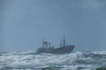 Bateau de pêche dans le gros temps © Philip Plisson / Plisson La Trinité / AA01036 - Nos reportages photos - Tempêtes