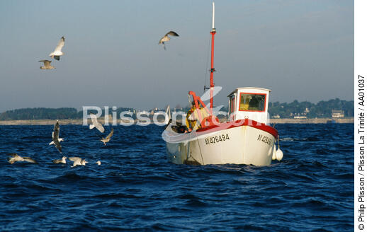 Oiseaux marins autour d'un caseyeur . - © Philip Plisson / Plisson La Trinité / AA01037 - Photo Galleries - Maritime activity