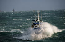 Le cèdre bleu © Philip Plisson / Plisson La Trinité / AA01040 - Nos reportages photos - Activité maritime