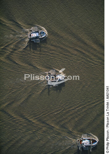Pêche à la civelle, vue aérienne. - © Philip Plisson / Plisson La Trinité / AA01041 - Nos reportages photos - Activité maritime