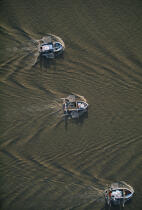 Pêche à la civelle, vue aérienne. © Philip Plisson / Plisson La Trinité / AA01041 - Nos reportages photos - Pêche