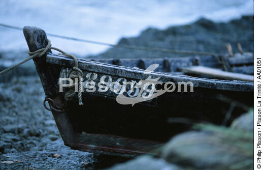 Immatriculation de bateau de pêche - © Philip Plisson / Plisson La Trinité / AA01051 - Nos reportages photos - Immatriculation