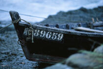 Immatriculation de bateau de pêche © Philip Plisson / Plisson La Trinité / AA01051 - Photo Galleries - Fishing