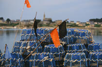 Casiers de pêche, île de Batz. © Philip Plisson / Plisson La Trinité / AA01053 - Nos reportages photos - Bretagne