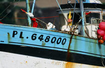 Immatriculation d'un bateau de pêche. © Philip Plisson / Plisson La Trinité / AA01076 - Nos reportages photos - Vue non aérienne