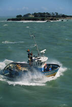Pêche sur un caseyeur. © Philip Plisson / Plisson La Trinité / AA01084 - Nos reportages photos - Activité maritime