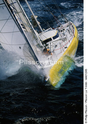 Votre nom autour du monde. - © Philip Plisson / Plisson La Trinité / AA01245 - Photo Galleries - Maxi-monohull Racing Yacht