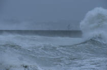 Tempête sur le port de Quiberon. © Philip Plisson / Plisson La Trinité / AA01288 - Nos reportages photos - Gros temps