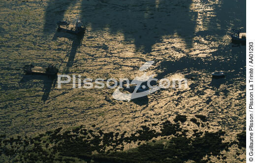 Pontons ostréicoles et voiliers à marée basse. - © Guillaume Plisson / Plisson La Trinité / AA01293 - Nos reportages photos - L'ostréiculture