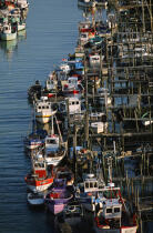 Bateaux de pêche dans le port du Collet. © Philip Plisson / Plisson La Trinité / AA01331 - Nos reportages photos - Port