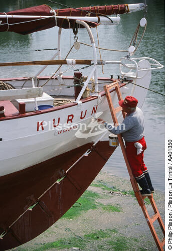 Carènage au Croisic. - © Philip Plisson / Plisson La Trinité / AA01350 - Photo Galleries - Shipyard